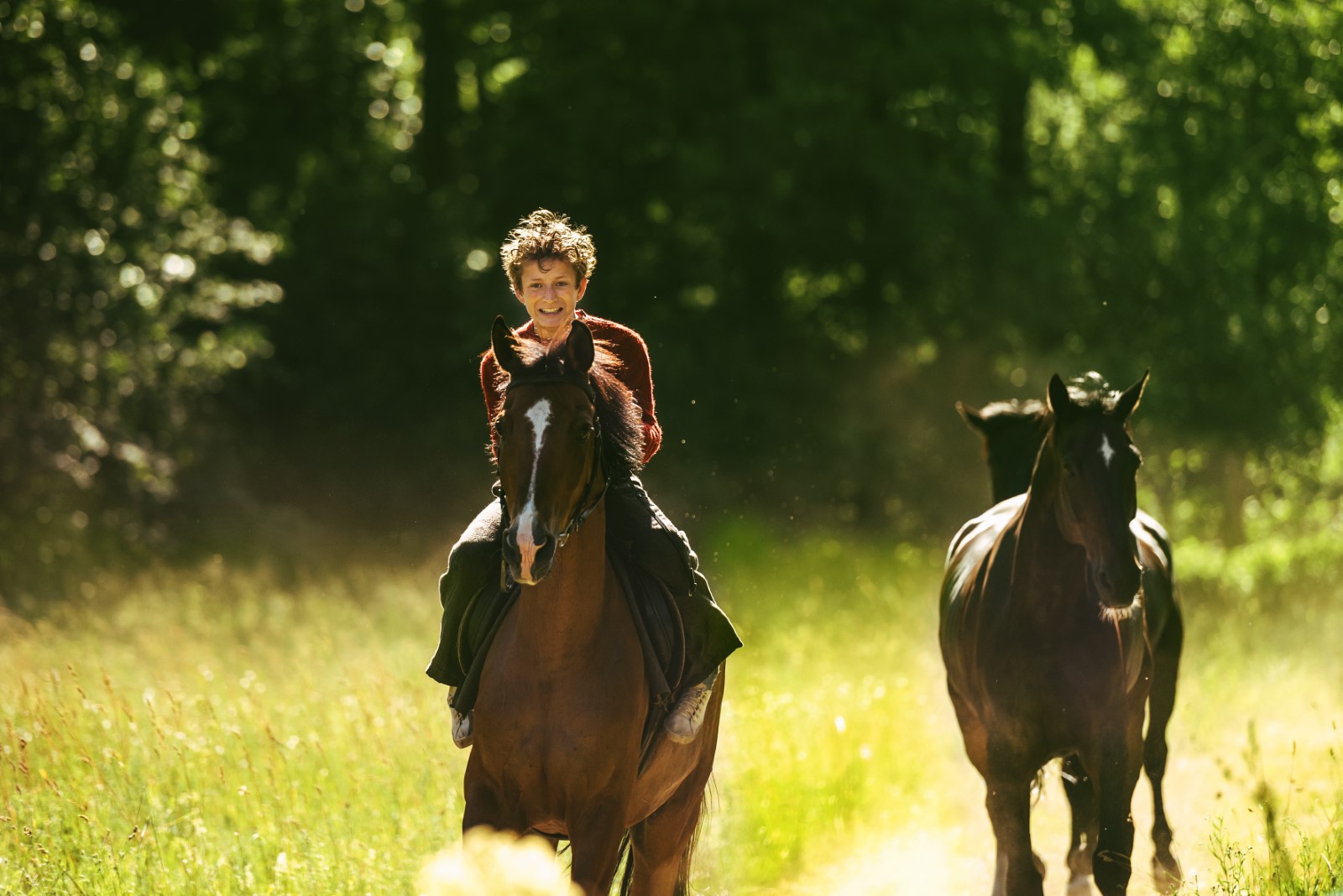 Out stealing horses