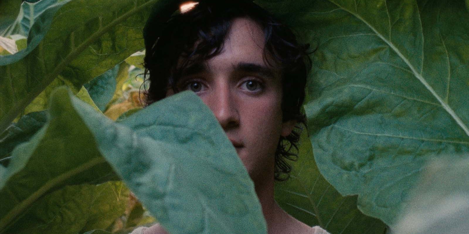 Heureux comme Lazzaro